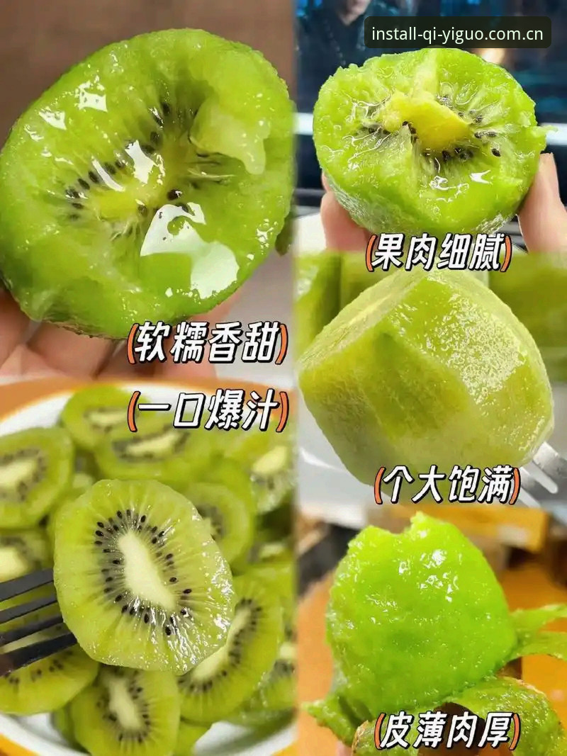 奇异果体育直播使用指南详解